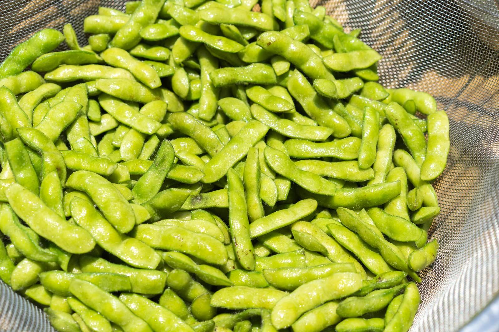 余分な葉を整理し実に栄養を集中させるゴーヤ株