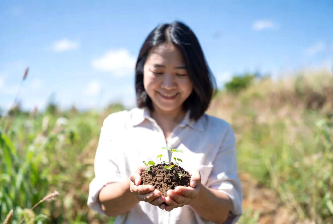 寒い冬の畑で育つえんどう豆の根と芽の様子