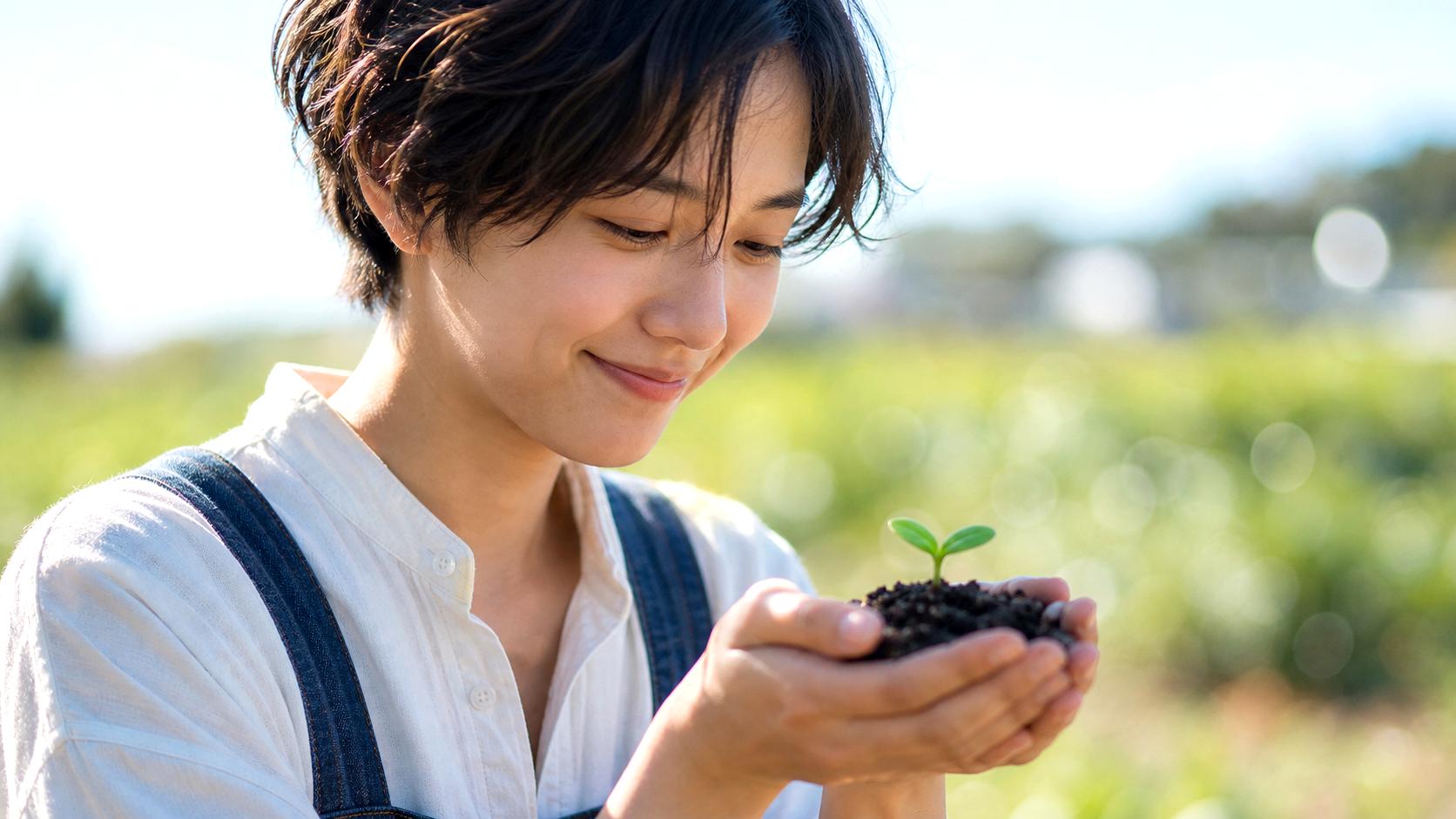 ピーマン栽培を安定させるための定植後管理と防除の総まとめイメージ
