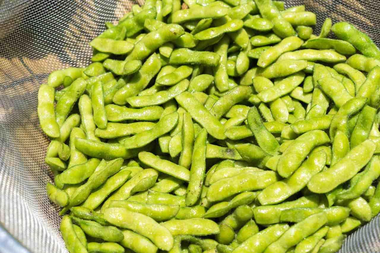食べ頃の小松菜を家庭菜園で収穫するタイミングを見極めるイメージ