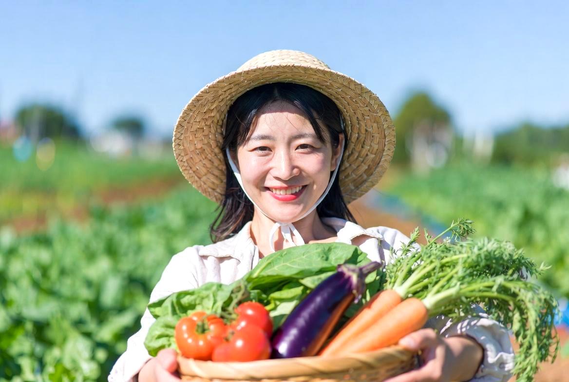 ゴーヤの雄花と雌花を使って人工授粉を行う様子