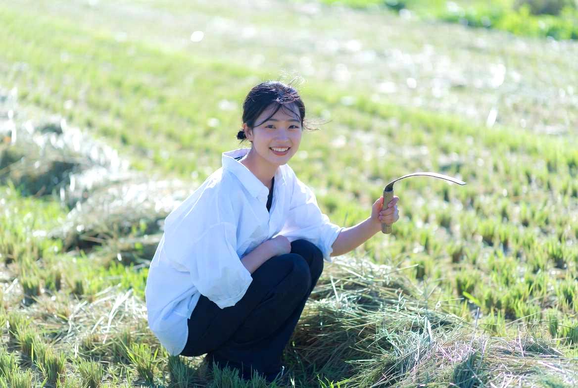 野菜畑で作物と競合するイヌタデの広がり