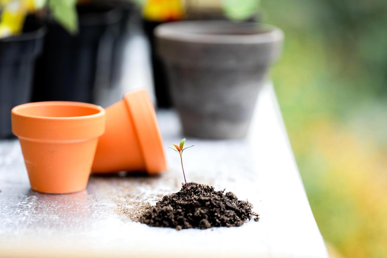 プランターへ培養土を入れて植え付け準備をする作業