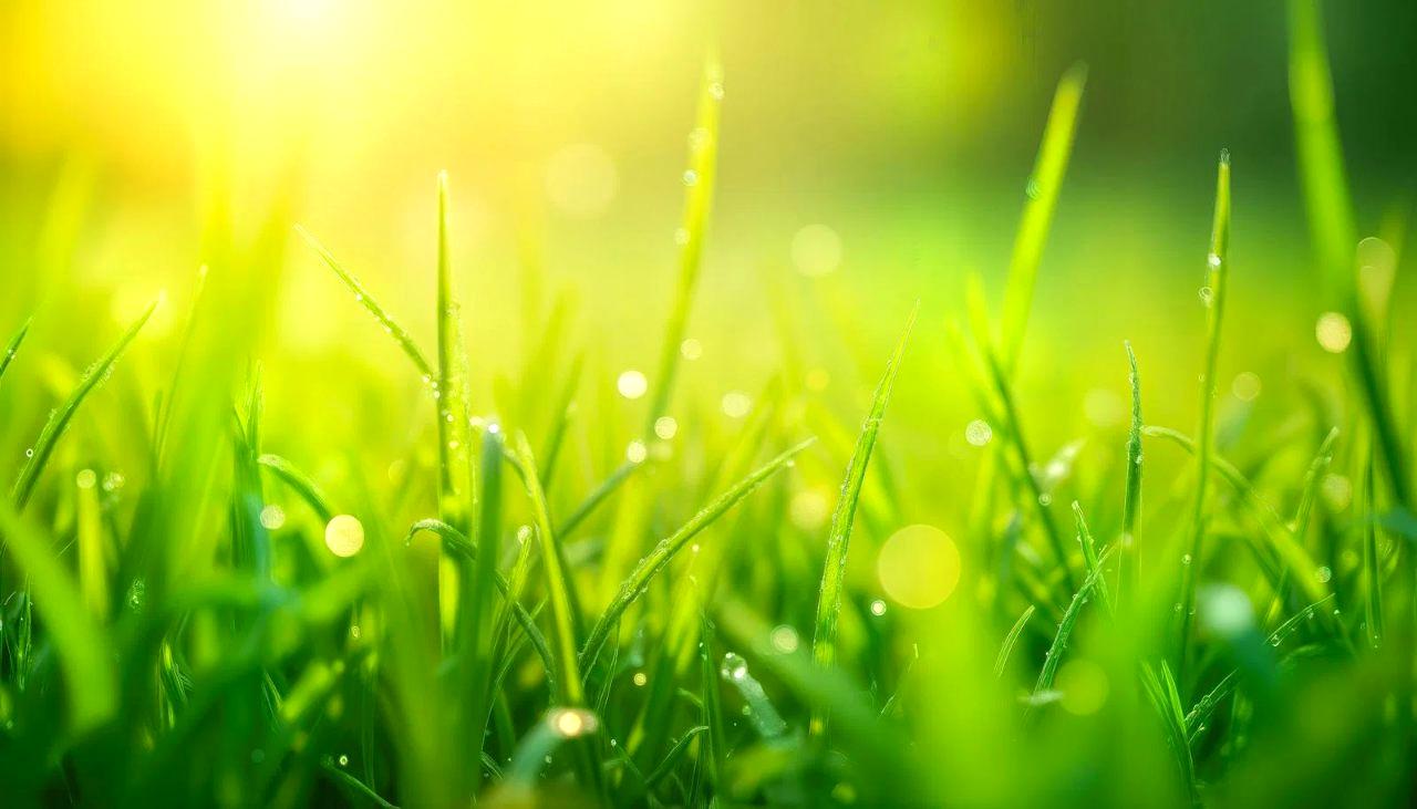 防草シートの上に砂利や人工芝を敷いて仕上げている庭の様子