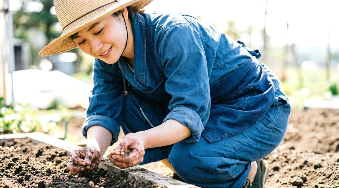 ヨトウムシを寄せ付けないサニーレタスの栽培環境