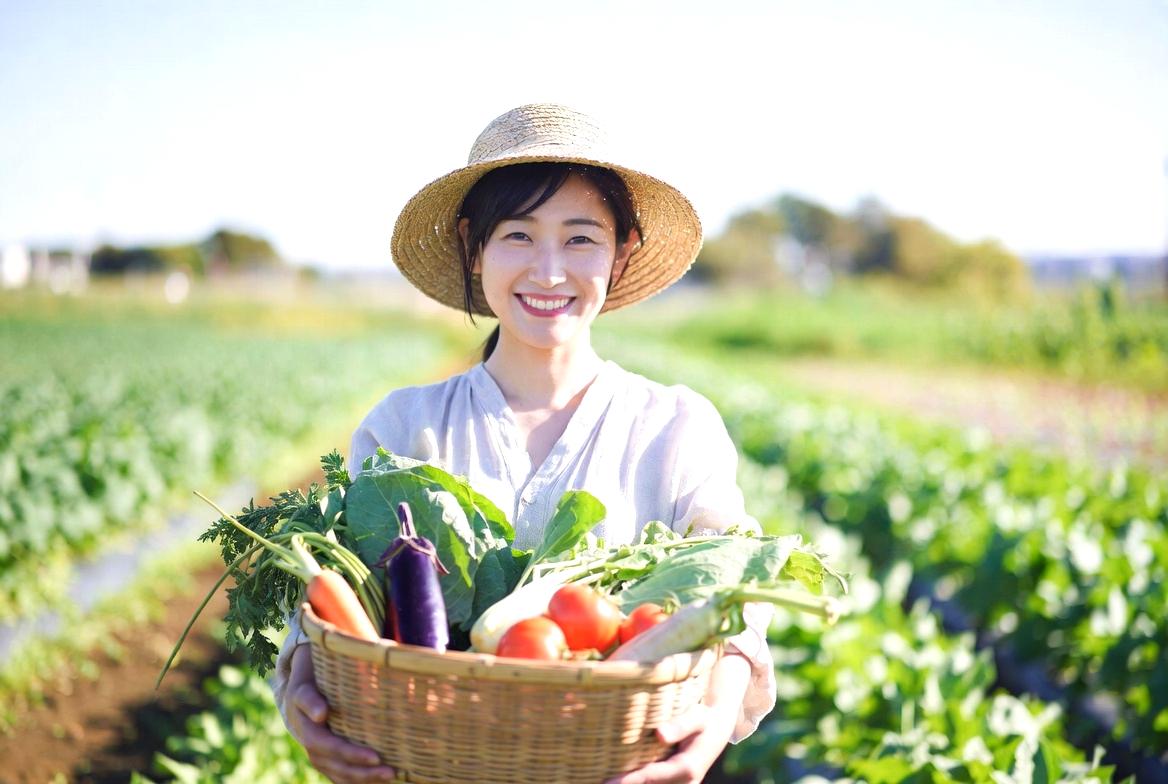 春野菜の収穫時期を早めるための工夫と栽培のまとめ