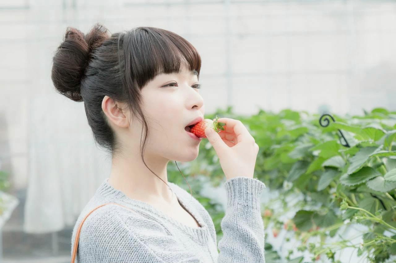 収穫時期を迎えた新鮮な水菜の株