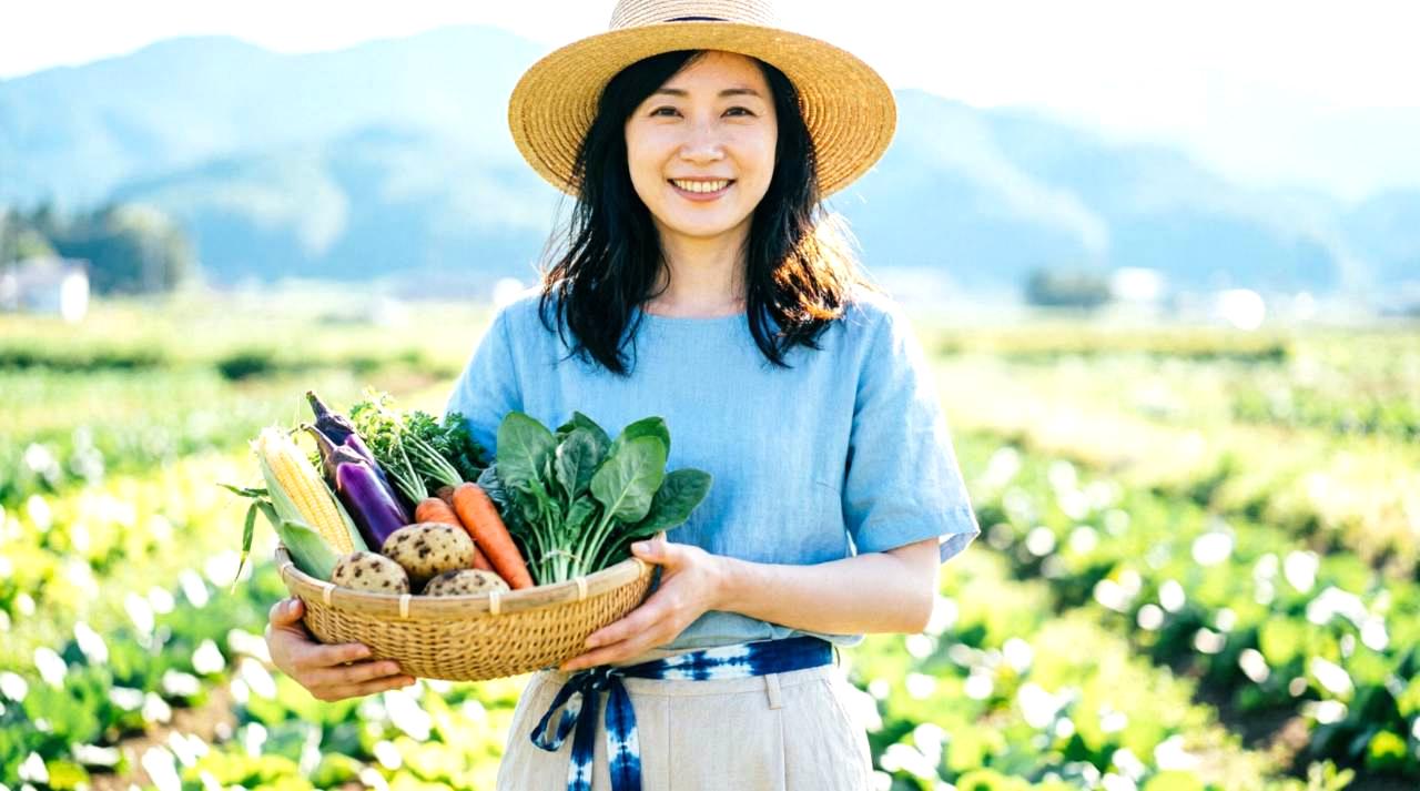 十分な日光を受けて育つ健康なカボチャの葉