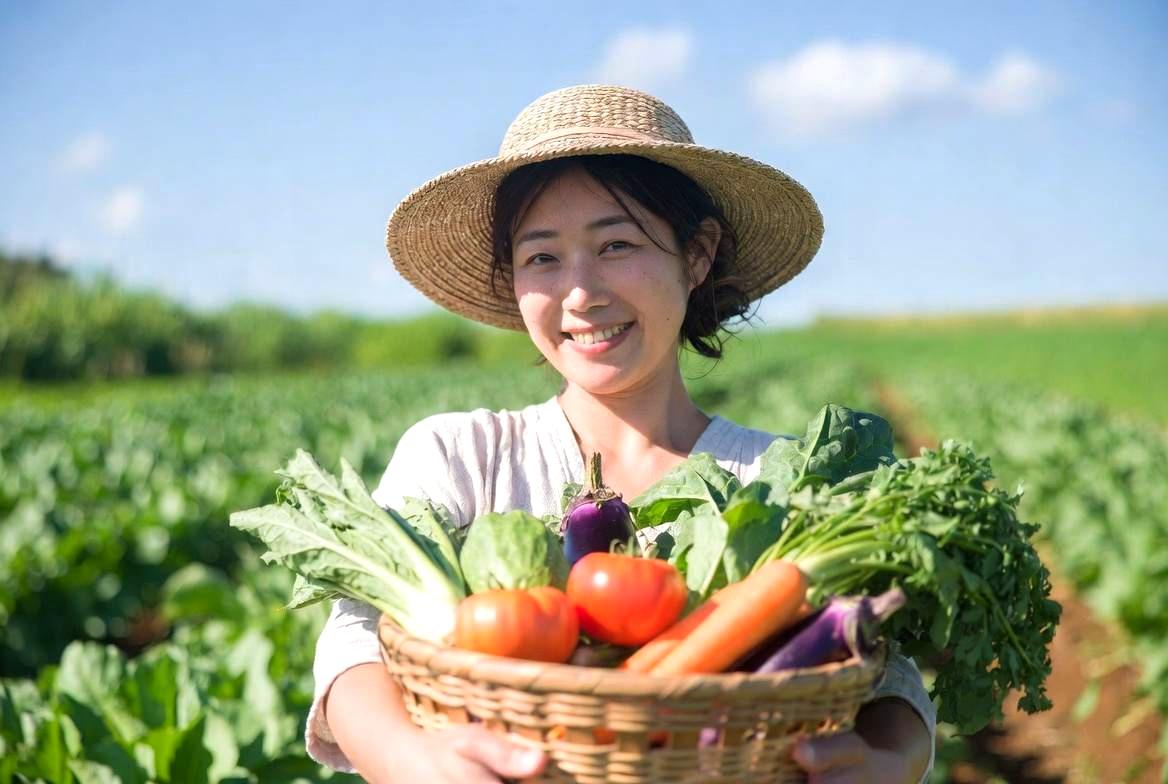 新たな根を出して安定し、再び伸び始めたオクラの若い葉と茎