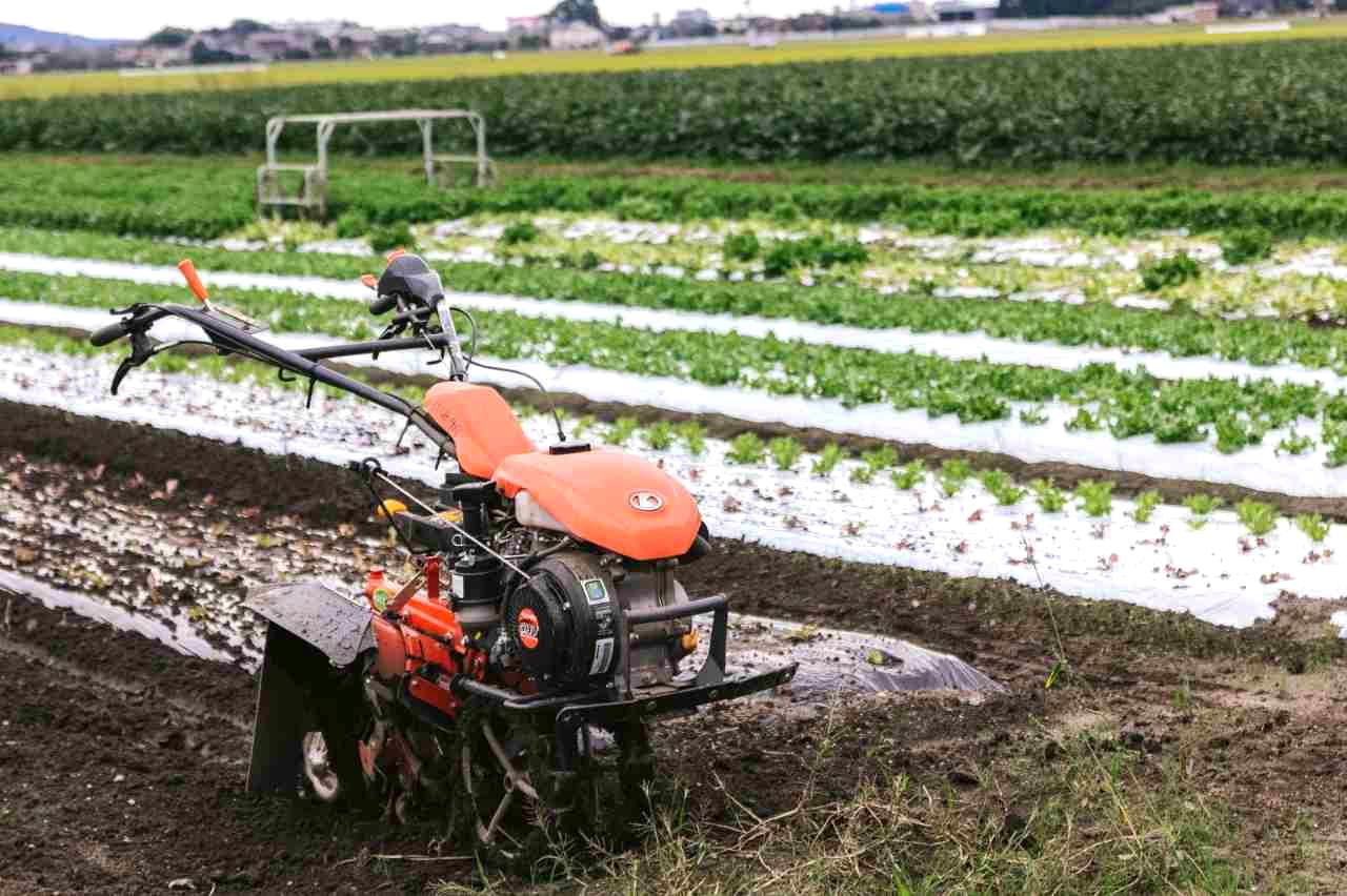 黒マルチを設置した畝にラディッシュを植える作業