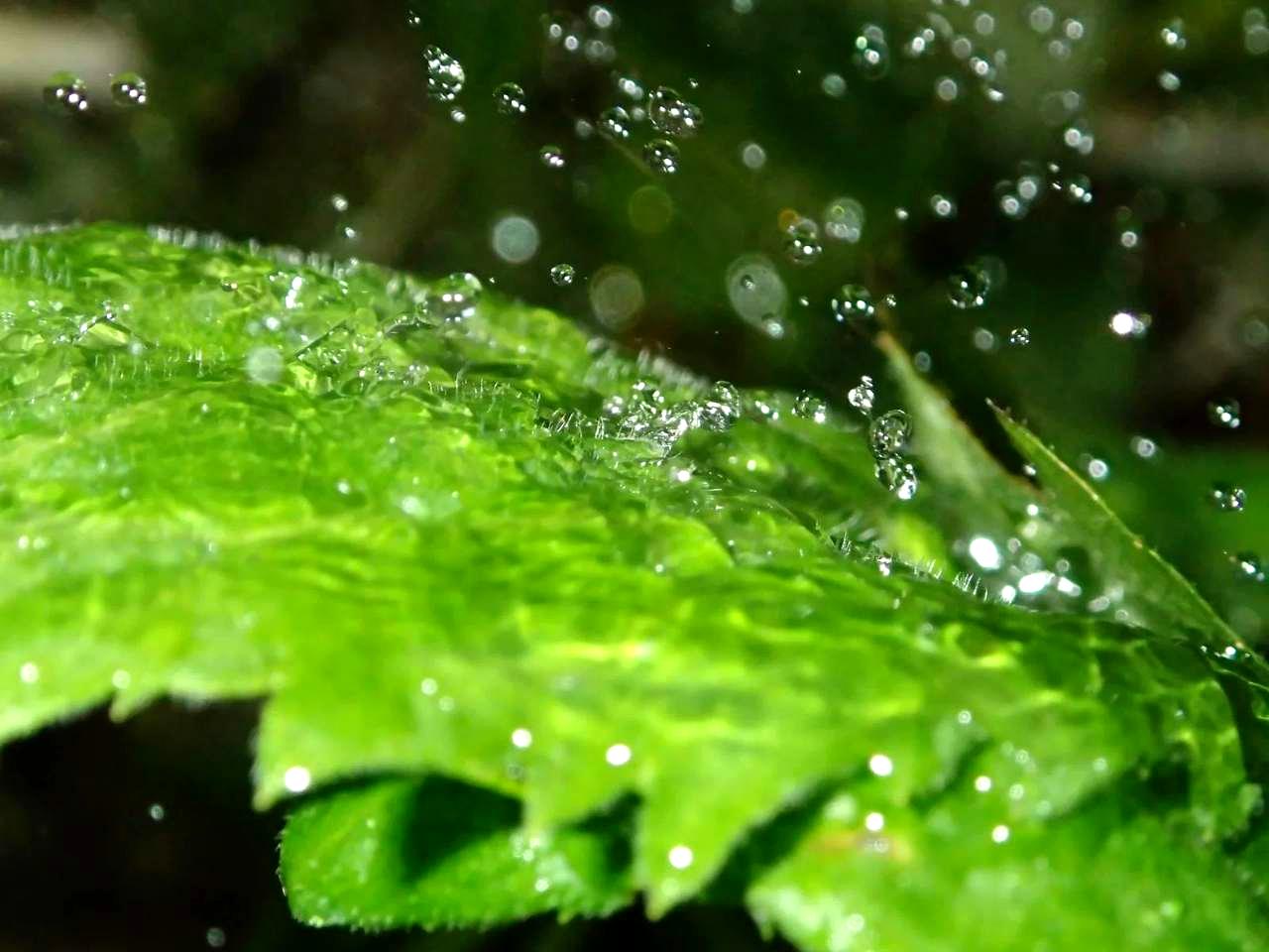 長雨の後の畑の様子と水はけを確認する農家の手
