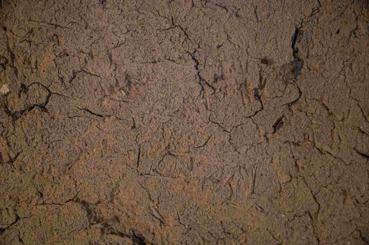 粘土質と砂質で異なる土づくりを比較する家庭菜園のイメージ