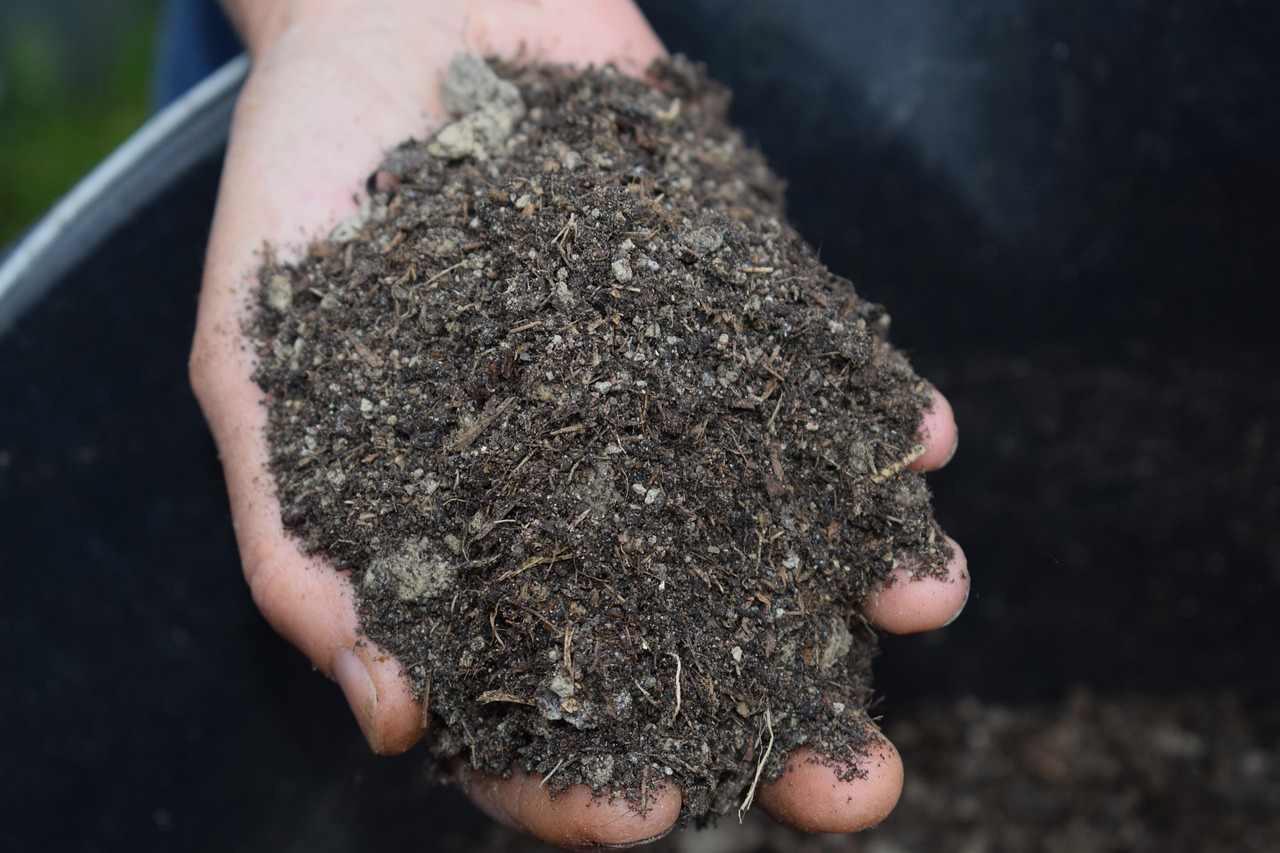 完熟堆肥を適量準備してゴーヤ用の土づくりを進める家庭菜園の場面
