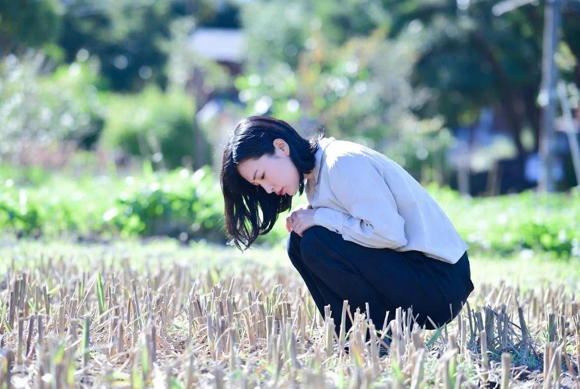 換気窓を開けたキャベツ栽培用ハウスの内部