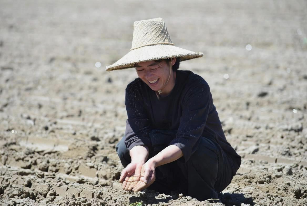 水に浸したオクラの種、温度計、そして発芽した元気な苗が並ぶ明るい家庭菜園のイメージ
