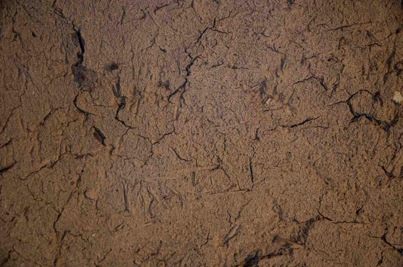 苦土石灰を土に混ぜ込み土壌改良する様子を表す画像