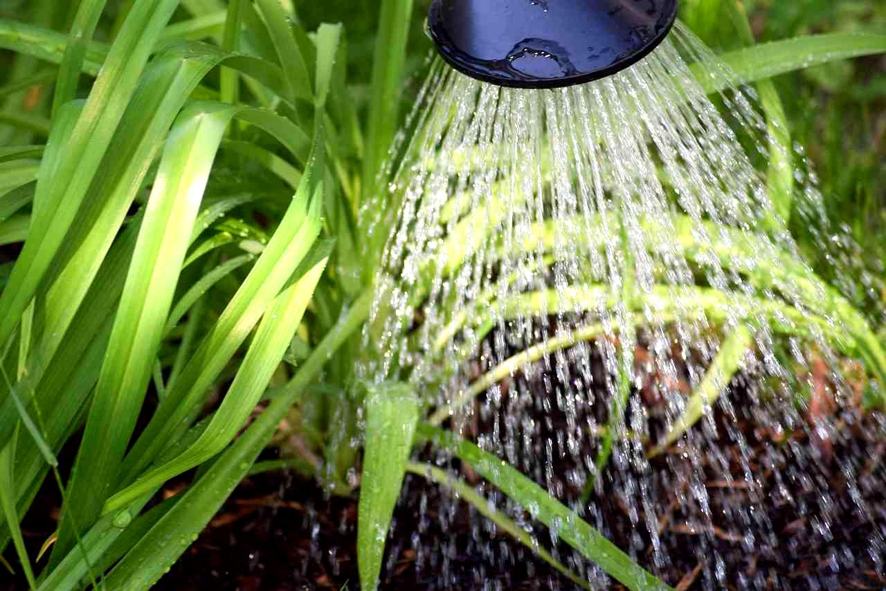 手にルーペを持ってヘチマの若い茎や葉裏をていねいに観察する園芸家の手元