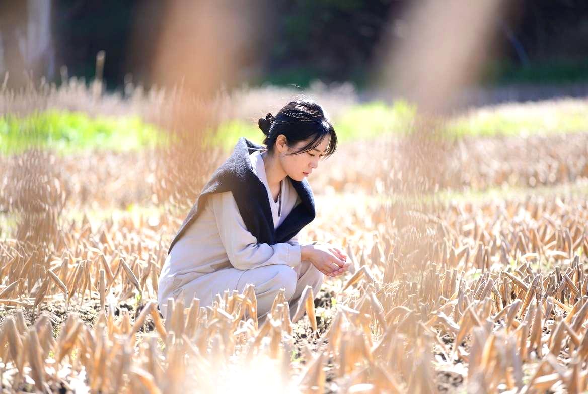 害虫対策をしながら育てるシシトウの葉