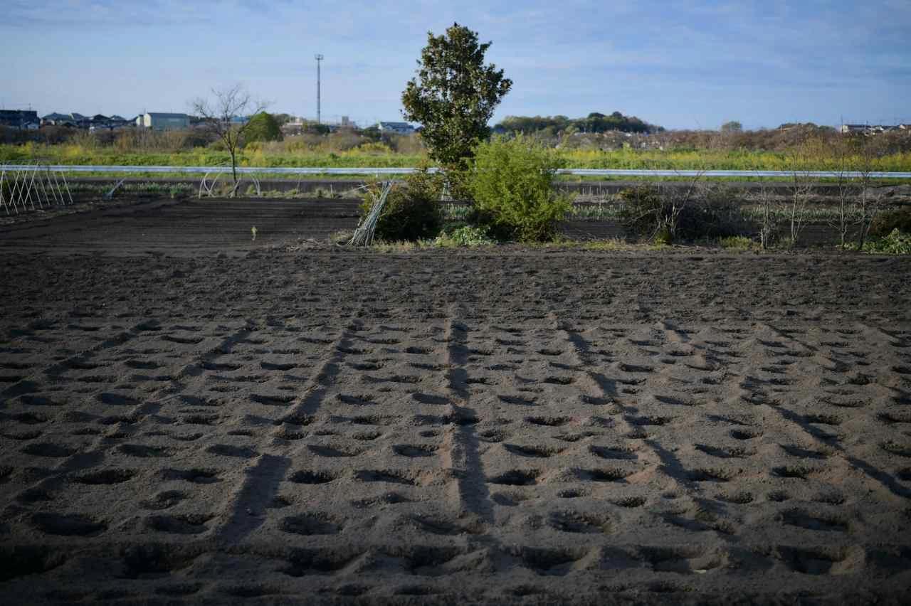 使用後の培養土を整える家庭菜園の土作り