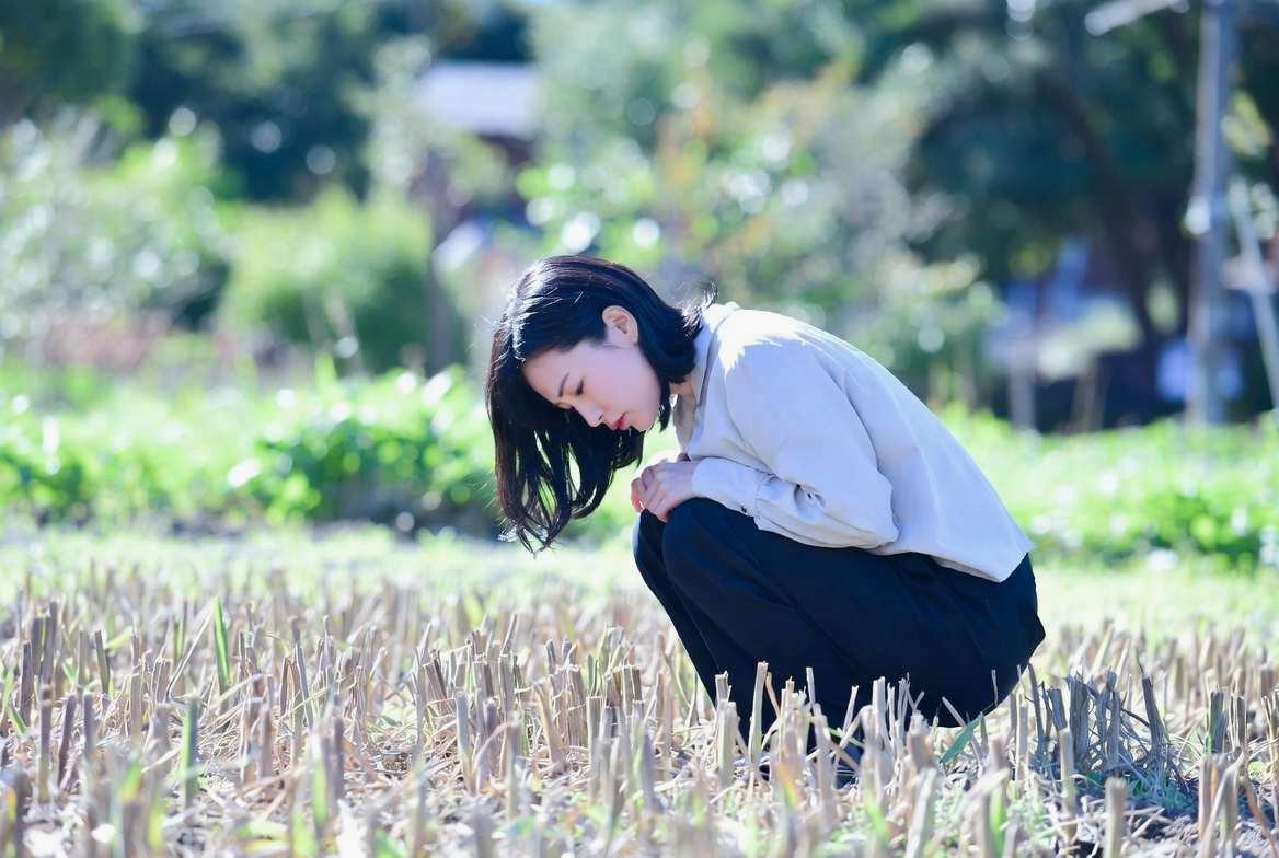 愛知の5月の家庭菜園で害虫が発生しやすい気候条件を示す畑の様子