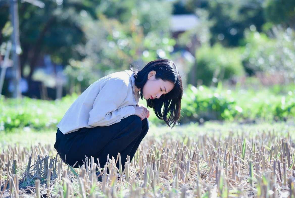 ソラマメ畑の近くに設置した花壇で天敵昆虫を呼び寄せる環境を作る様子