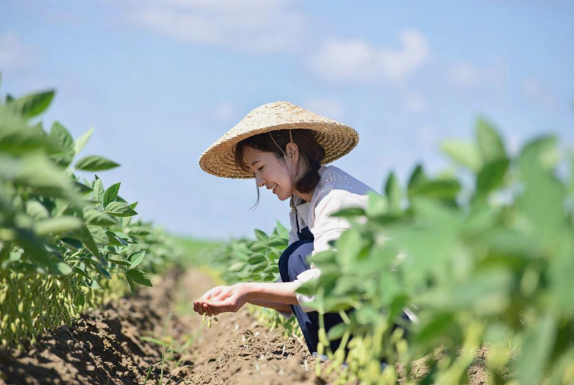 旭川の寒冷地向けに選ばれた耐寒性ダイコンの種袋と新鮮な収穫物