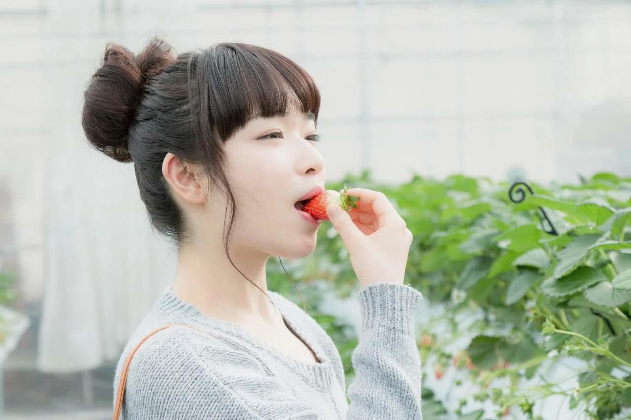 元気に成長したパプリカの株と収穫前の実
