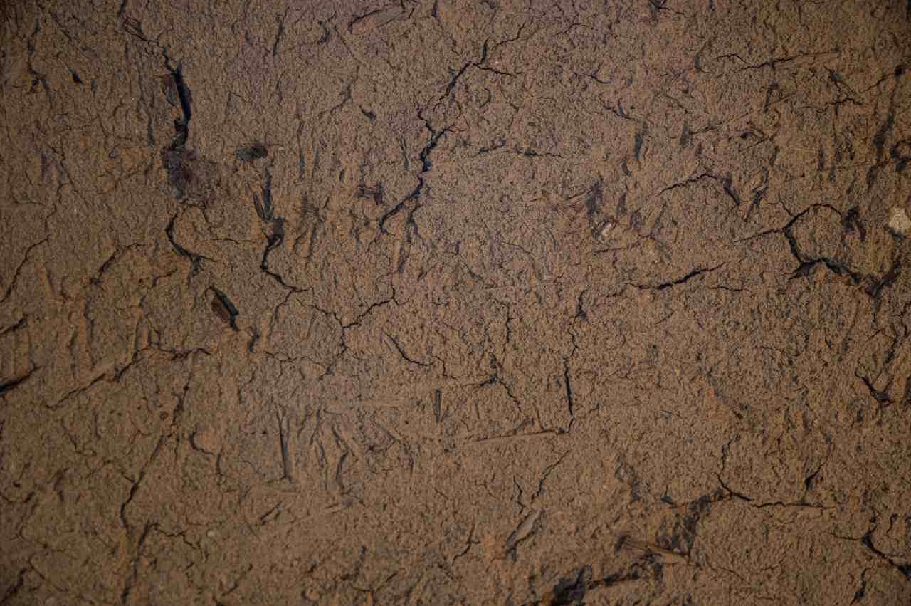 埼玉県の冬空の下、霜柱が立った畑の土壌断面