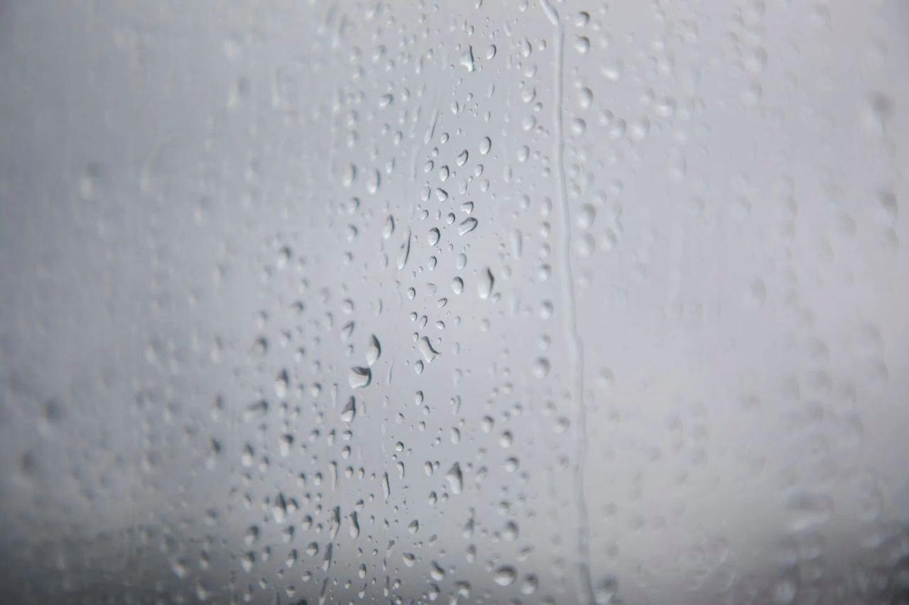 雨滴が土壌から跳ね上がりヘチマの下葉に泥水が付着している様子
