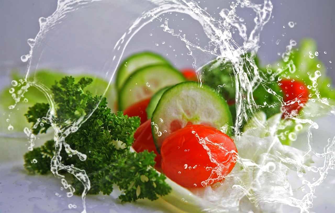 直播きから育ち結球し収穫時を迎えたキャベツの写真