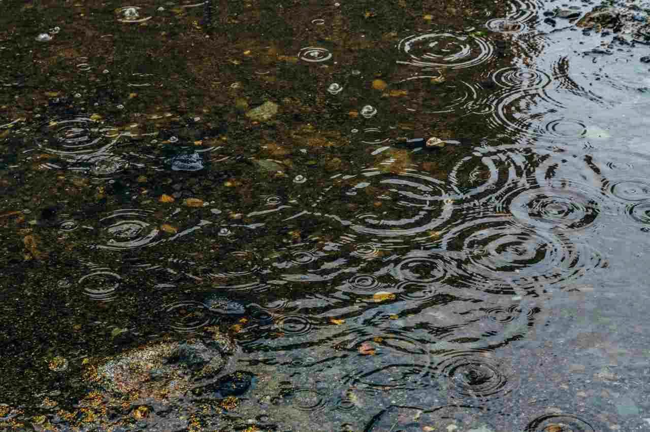 遮光ネットと雨よけを設置したプランター栽培の環境調整の様子