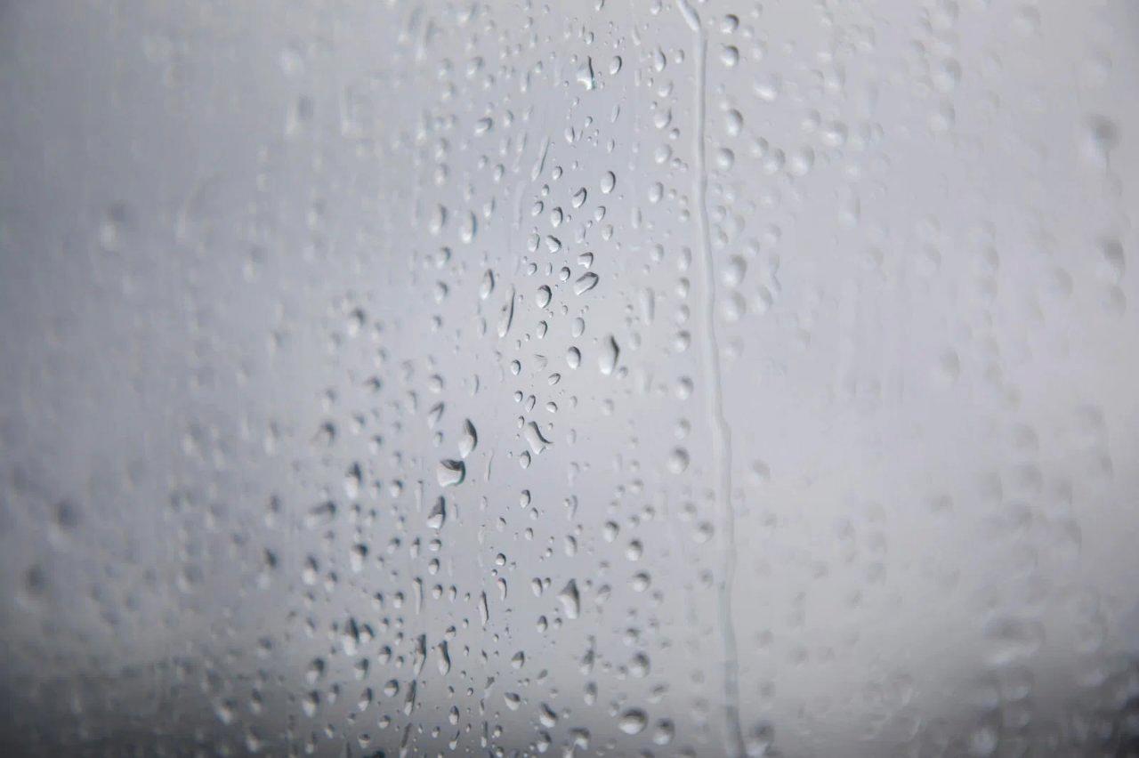 アスパラガスの茎に散布された農薬の液滴と、予防散布を行うための噴霧器の写真