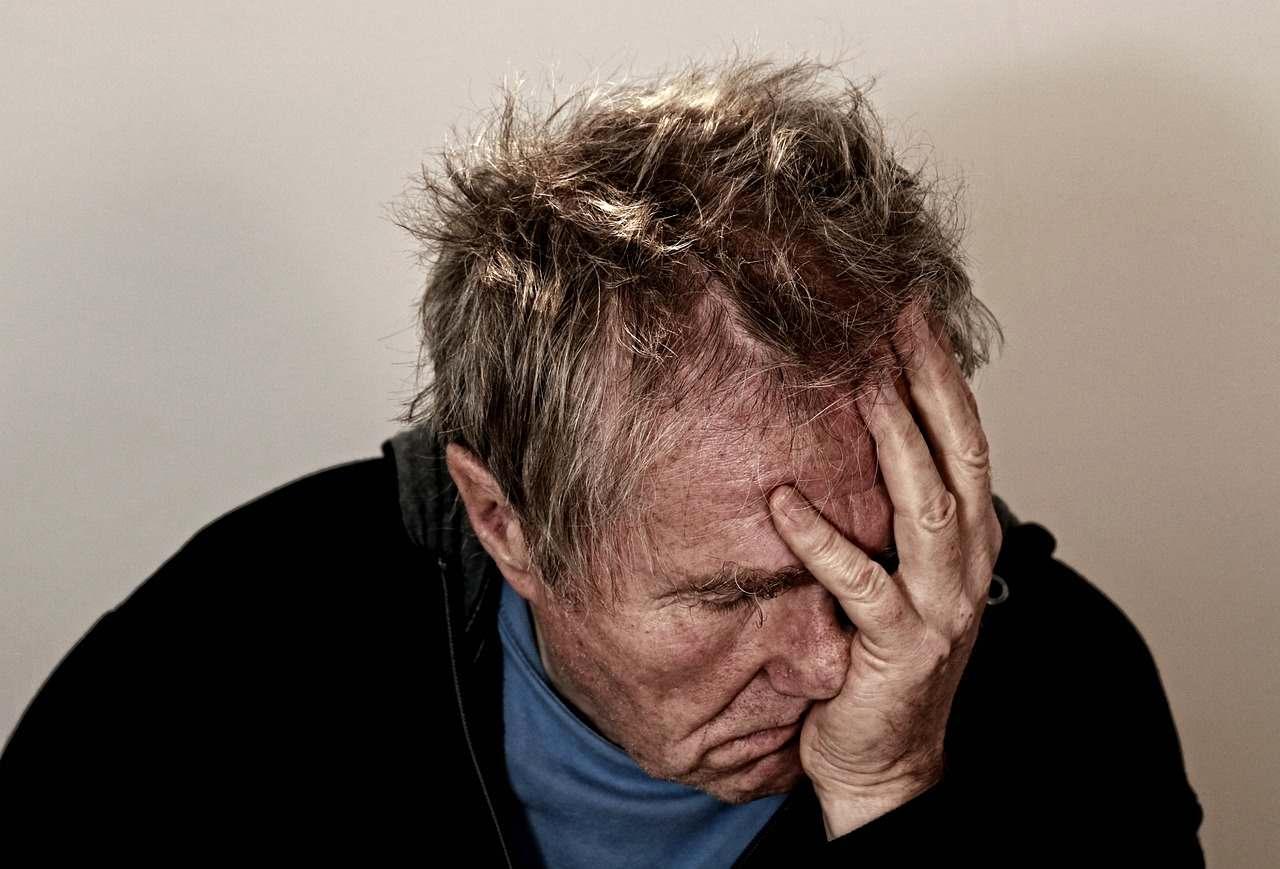 葉に病気が発生したルッコラの様子。栽培中の主要な病気と対策を解説。
