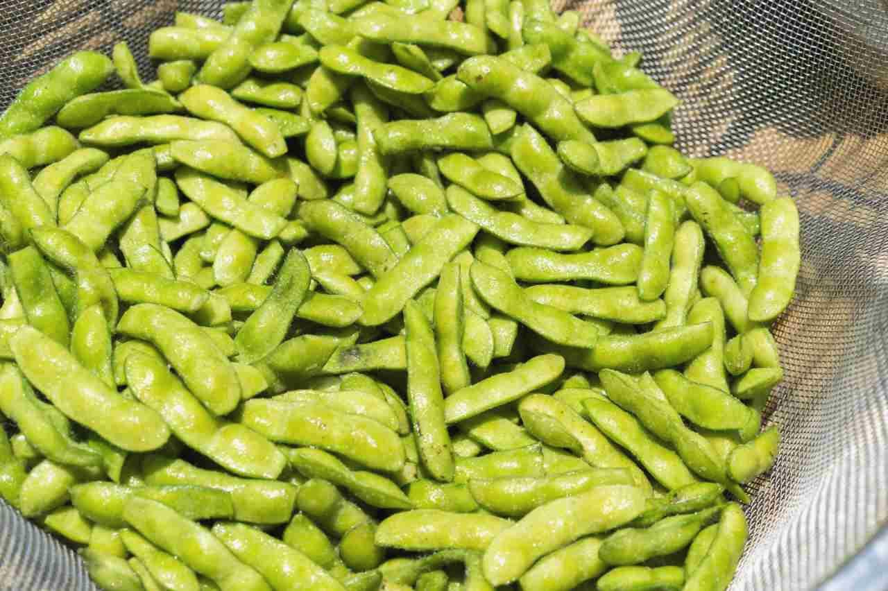 愛知の家庭菜園で元気に育つ野菜と害虫対策のまとめ