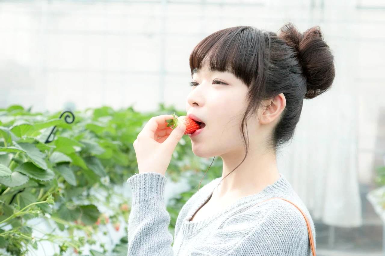 たくさん実ったナスを収穫する家庭菜園