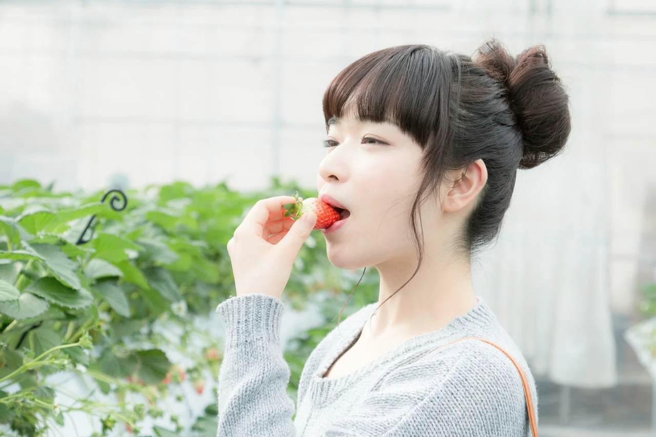ヘチマのつるが棚を這い、花と若い実が成長している様子