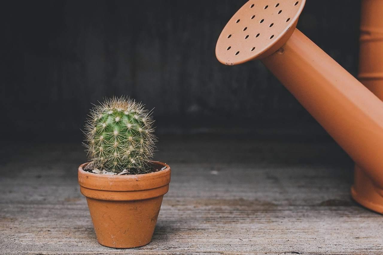 プランターで育つ水菜と、底穴から流れ出る余剰水の排水口の様子