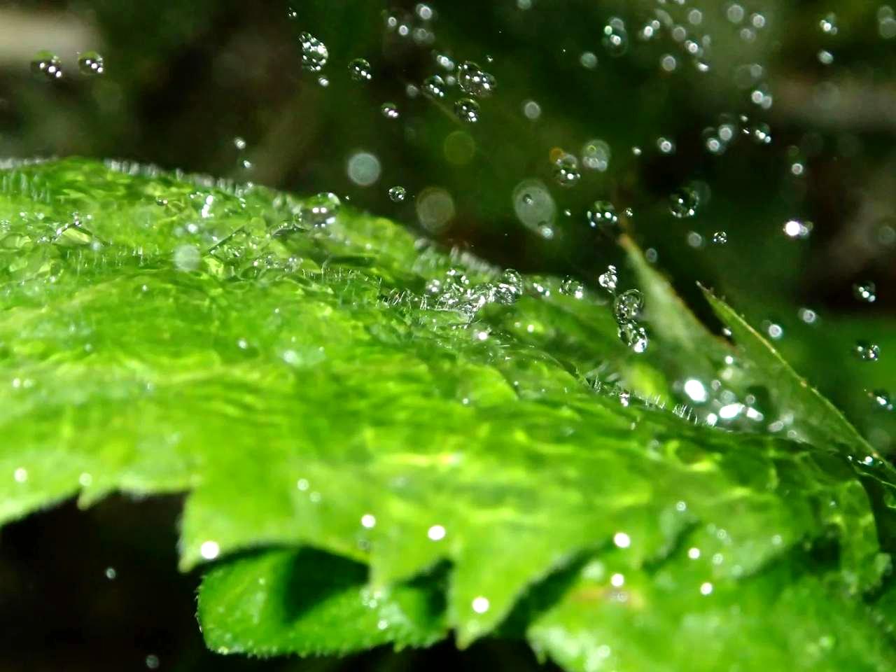 朝夕の涼しい時間にじょうろで水をまく手と、底面給水式プランターの断面図