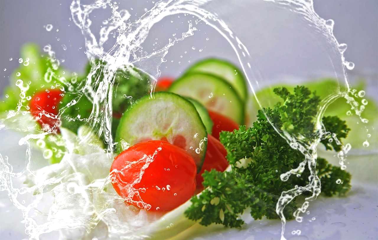 ハウス内の灌水設備から水やりを受けるいんげん豆の栽培列。適切な湿度管理。
