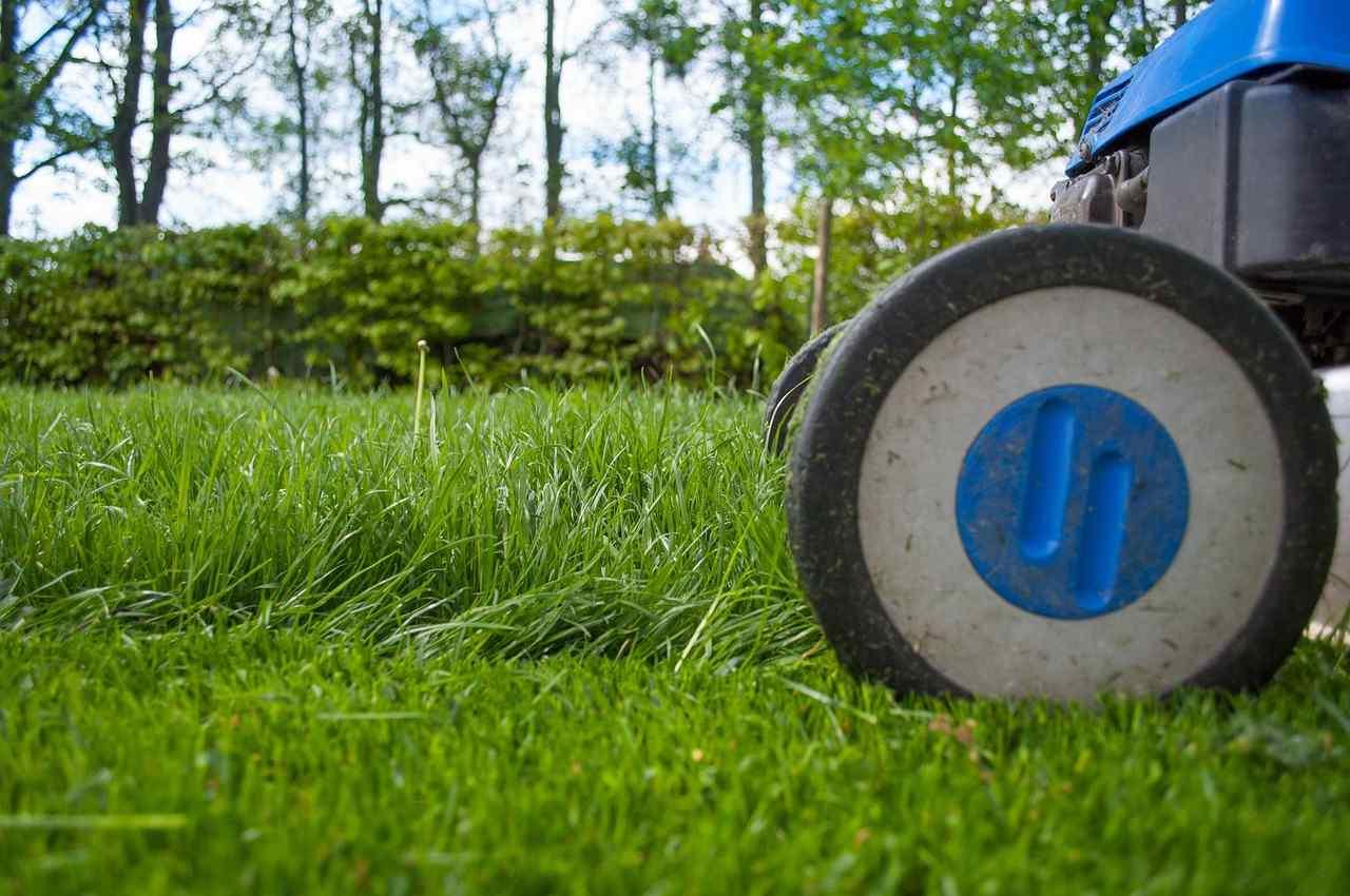 除草剤を希釈し、スプレーで丁寧に散布している手元の写真