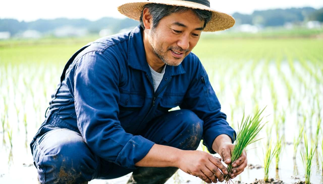種まき後に優しく水やりをしている畝の様子