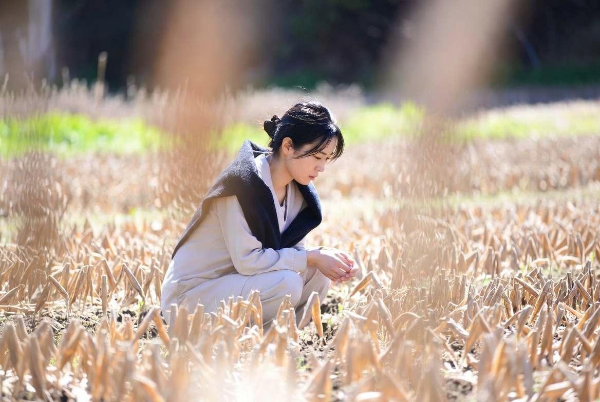 自然農法の畑で天然成分の虫除けスプレーを作り、適切な服装を選んで蚊対策をする農作業の様子