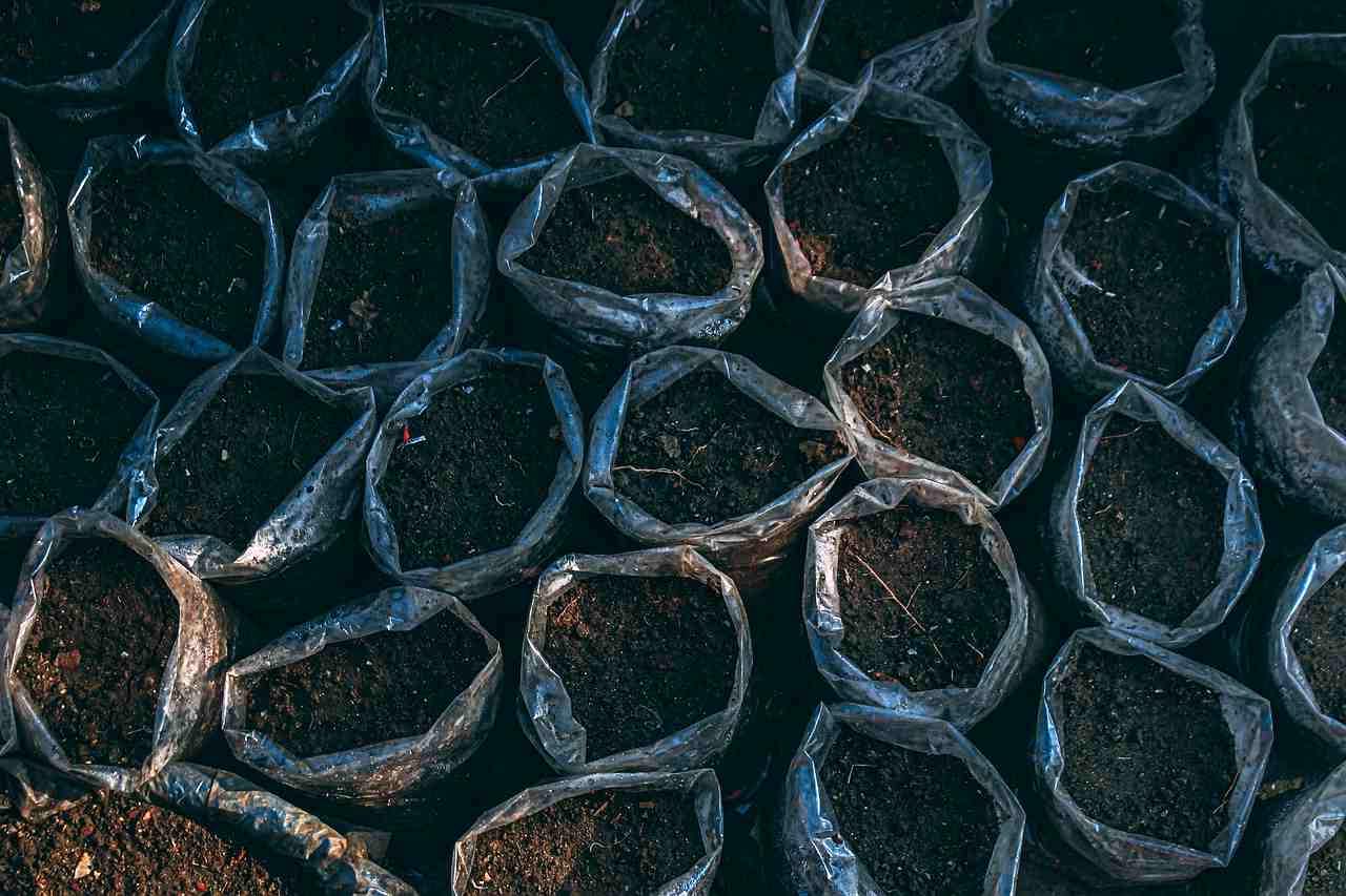 異なる作物が植えられた畑の全体図