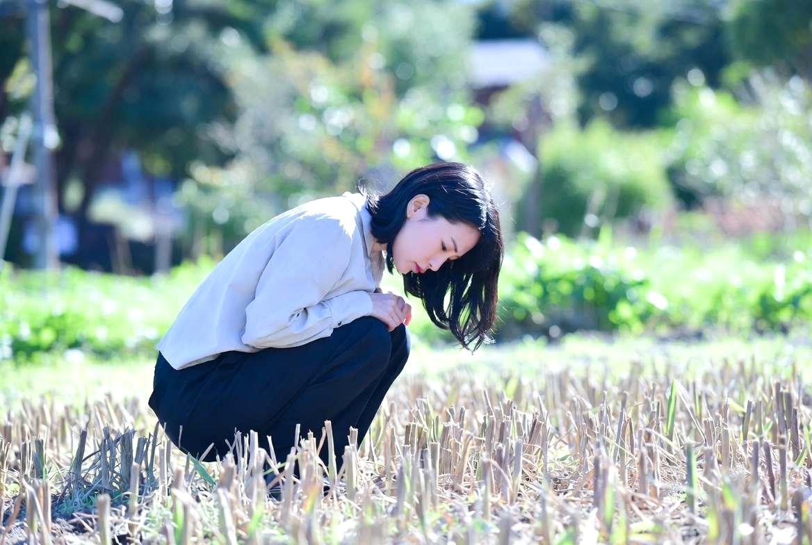 トラップを使ってワラジムシを安全に物理駆除する方法