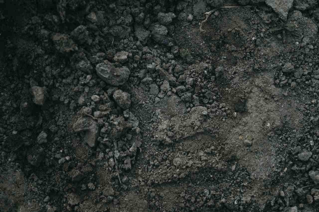 つるありインゲンの根系から分泌される物質と土壌養分偏枯の関係を示す図