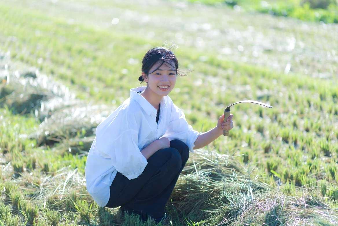 水菜の株元に敷かれたわらマルチと清潔な畑