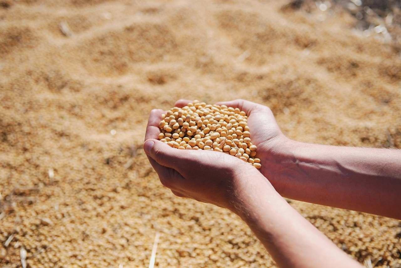 ノートとペンと共に、つるありインゲンの種袋と栽培カレンダーを並べた机上の写真