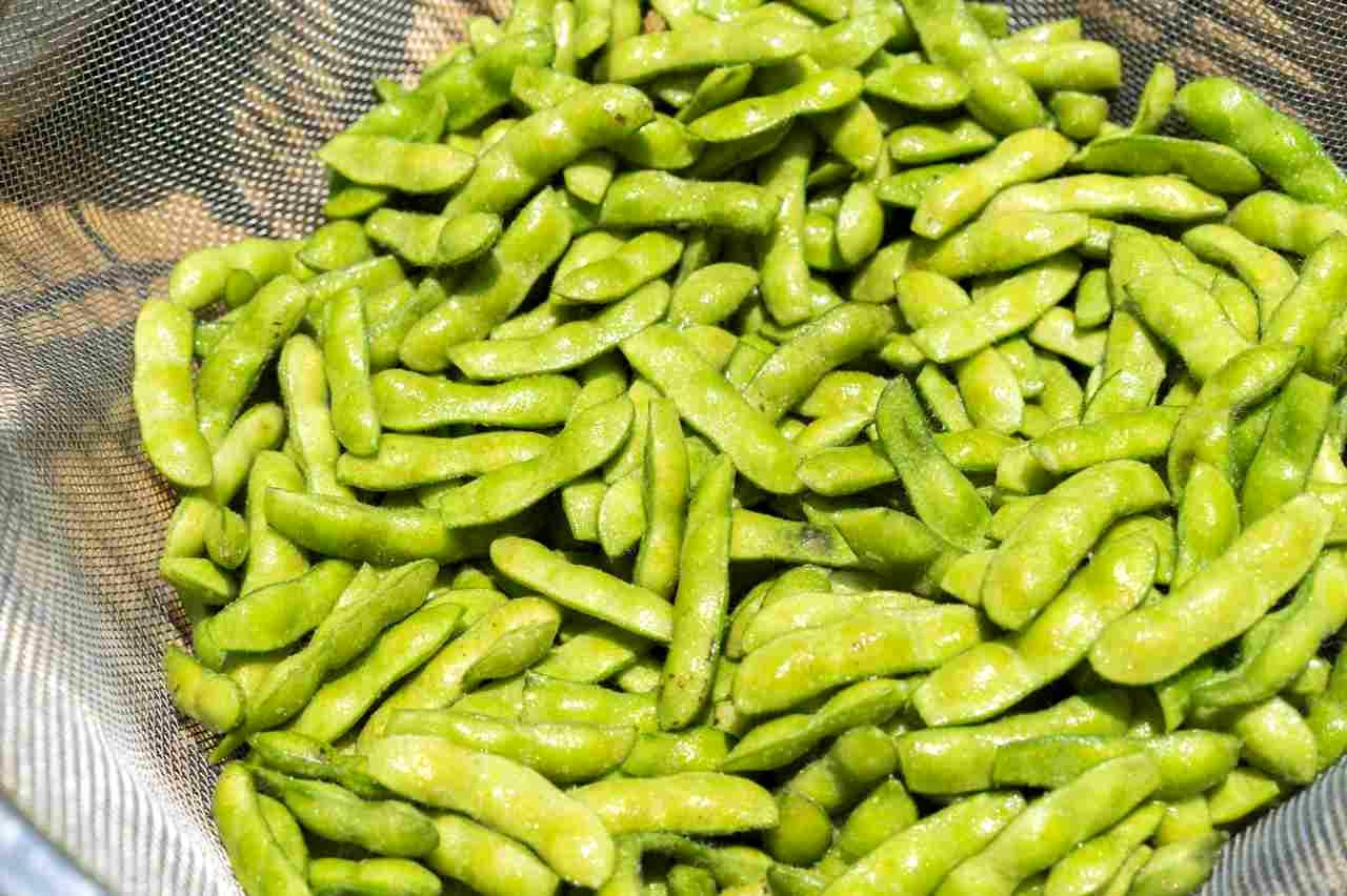 日当たりのよい位置に移動したいんげん豆のプランター