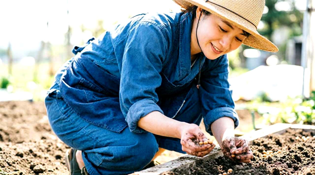 高く整えた畝の上で種まきの準備をする家庭菜園