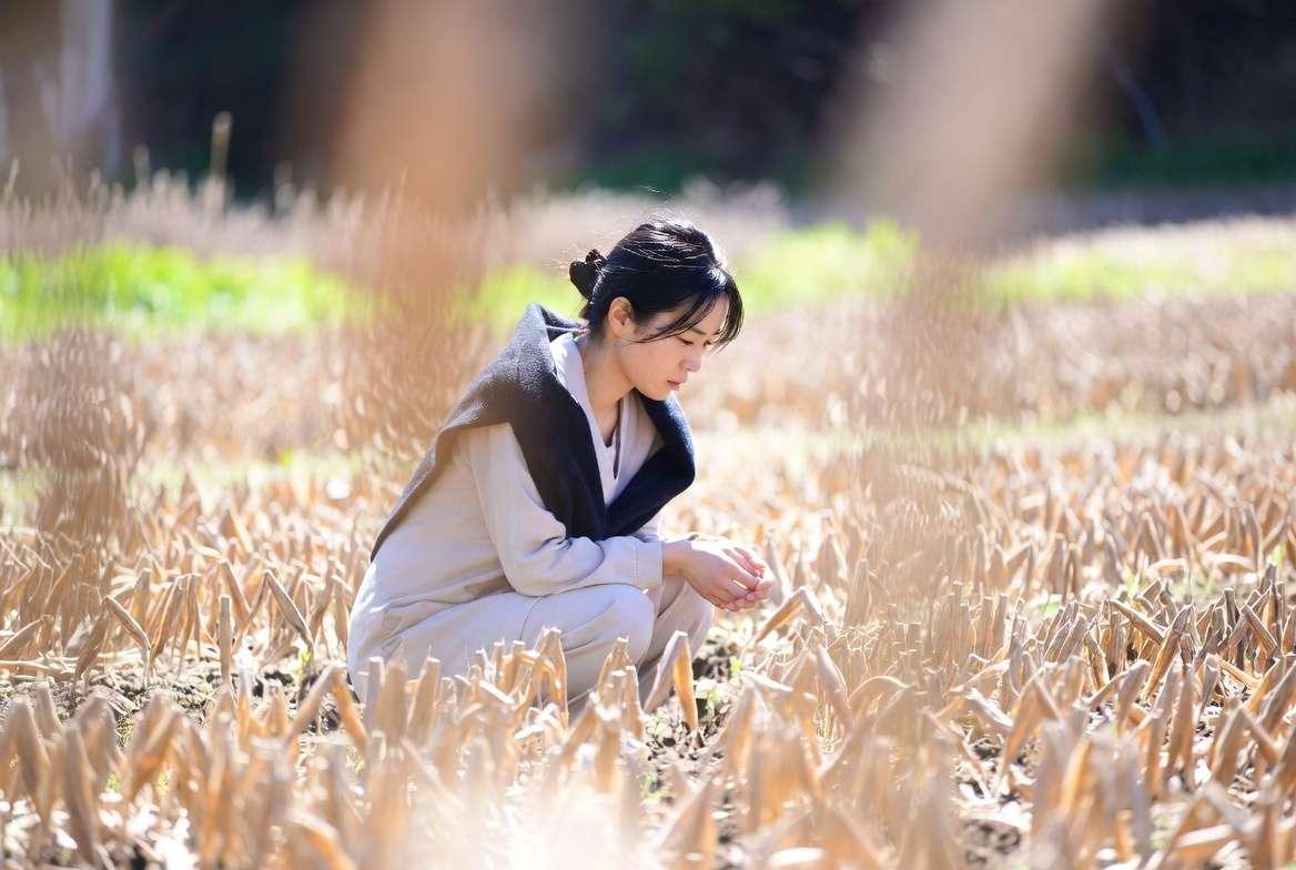 水菜の葉に発生した害虫被害と家庭菜園での観察風景